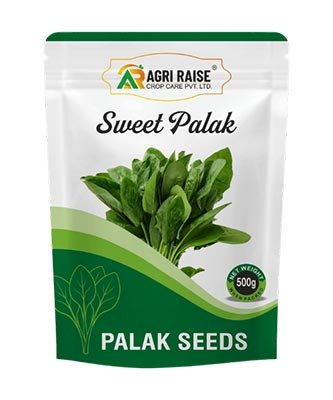 Sweet Palak Seeds