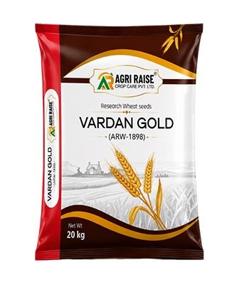 Vardan Gold Research Wheat ARW-1898